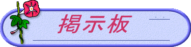 �摜�f����